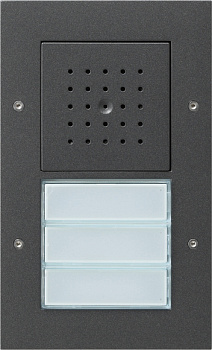 Gira TX-44 Антрацит Вызывная станция (аудио) наружного монтажа, на 3 абонента, белая подсветка 126767