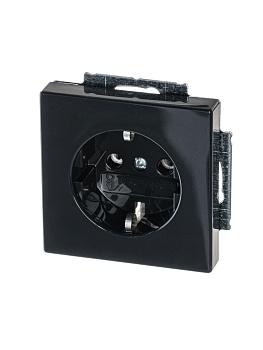 ABB BJE Solo/Future Антрацит Розетка SCHUKO 16А 250В 2CKA002011A6215