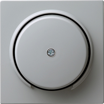 Gira Накладка розетки для подключения средств связи 027442