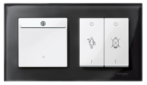 Купить SE Merten SM M-Elegance Стекло Черное кальцит Рамка 2-ая MTN404203