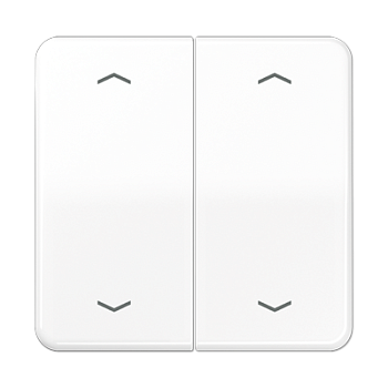 JUNG Клавиша для KNX кнопки, 2 группы с символами "стрелки" дюропласт белый CD102PWW