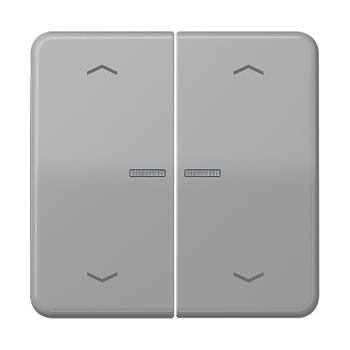 JUNG Клавиши для сдвоенной кнопки BCU серые CD595KO5MPGR