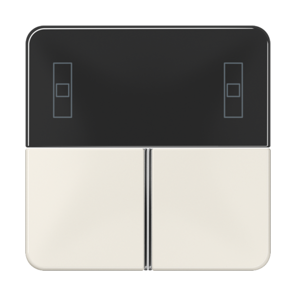 JUNG Накладка для Room controller, в сборе CD4093TSA