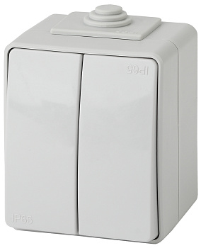ЭРА 11-1604-03 Эксперт Серый Выключатель 2-кл ОУ IP65