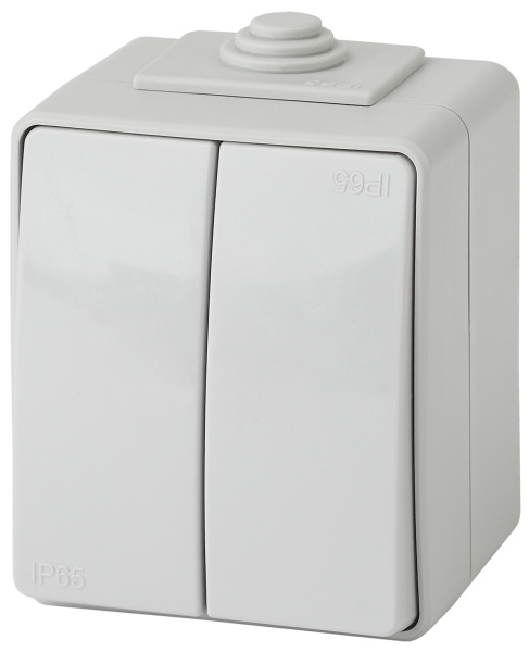 ЭРА 11-1604-03 Эксперт Серый Выключатель 2-кл ОУ IP65