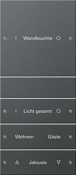 Gira Набор клавиш 4-местный (1+3),  ГРАВИРОВКА 220428