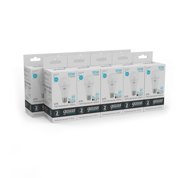 Купить Gauss Лампа Elementary A67 30W 2360lm 4100K E27 LED 73229