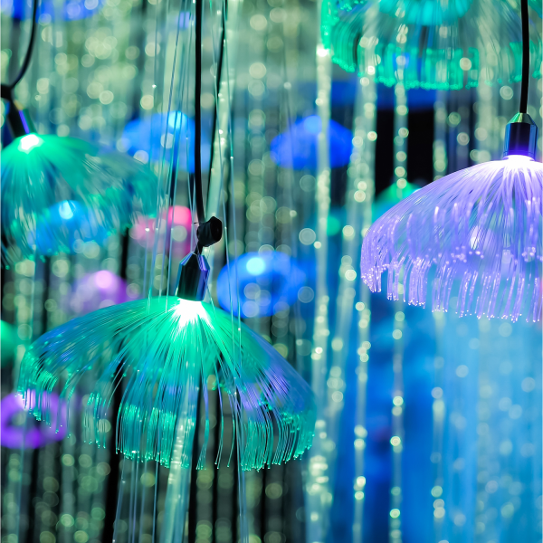 Купить Gauss Лампа G4 12V 3W 240lm 4100K силикон LED 207707203