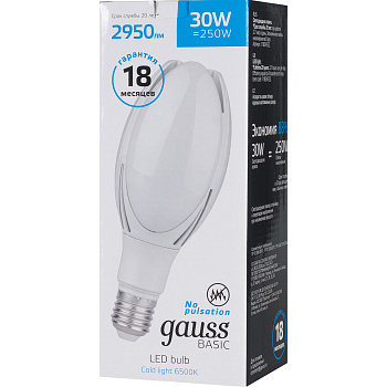Gauss Лампа Basic BT100 AC180-240V 30W 2950lm 6500K E40 LED 11834332 Gauss Лампа Basic BT100 AC180-240V 30W 2950lm 6500K E40 LED 11834332