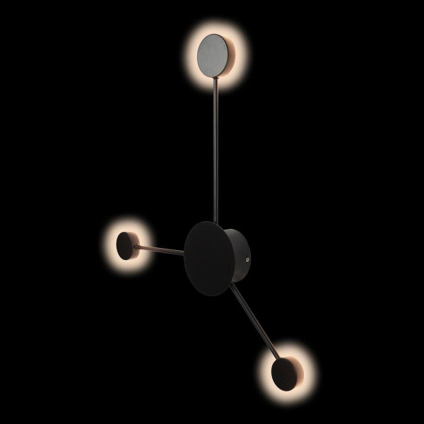 Купить LOFT IT 10059BK Светильник настенный Rays, шт