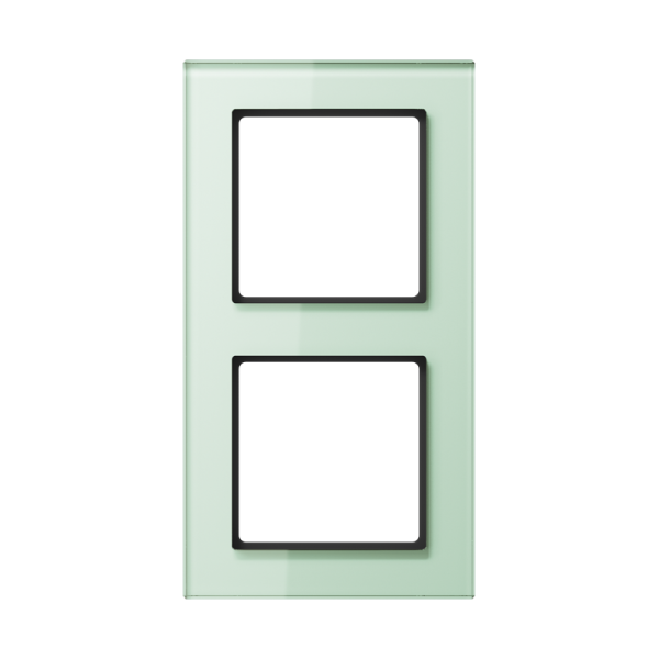 JUNG A creation Стекло Матовое Рамка 2-ая AC582GLWMT