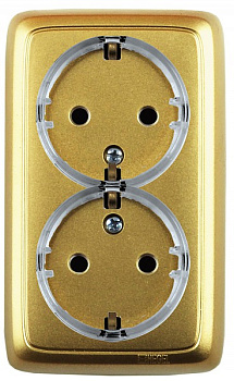 Hegel Альфа наруж Золото РА16-183-07 Розетка с/з двойная, с изол. пластиной