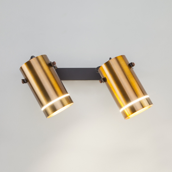 Eurosvet Светодиодный настенный светильник с поворотными плафонами 20063/2 античная бронза 00000083461