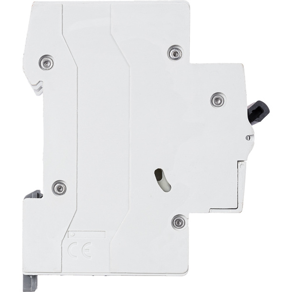 Купить Legrand RX3 Автоматический выключатель 2P 50А (C) 4,5kA 419702