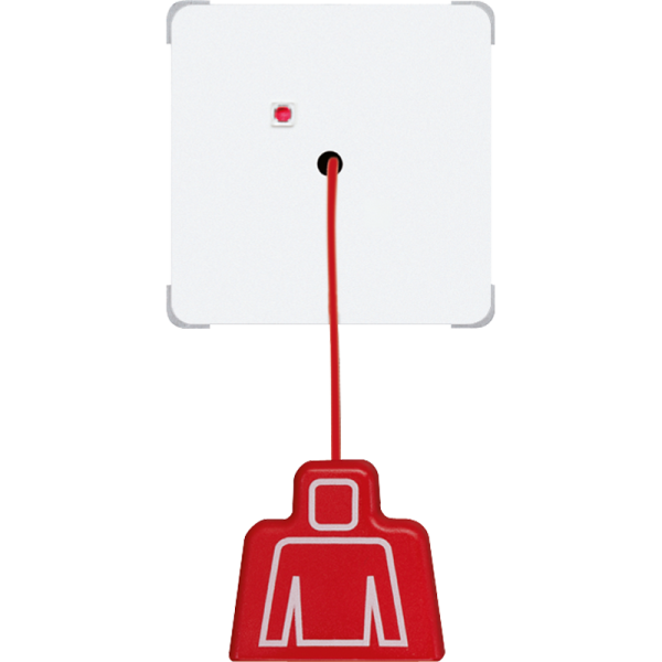 JUNG кнопка вызова со шнуром, белый NRSCD0834ZTWW