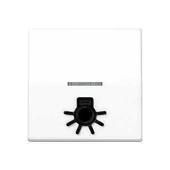 JUNG Клавиша с окошком для подсветки и символом "свет" белая AS591L1KO5WW