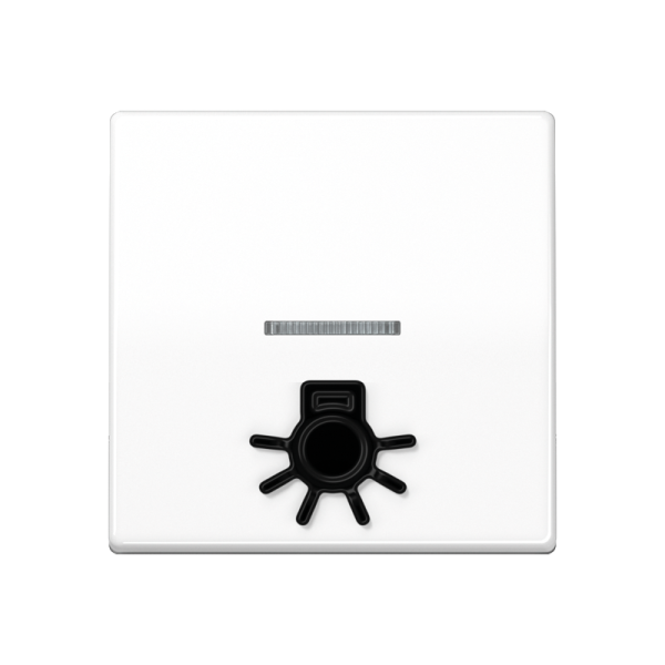 JUNG Клавиша с окошком для подсветки и символом "свет" белая AS591L1KO5WW