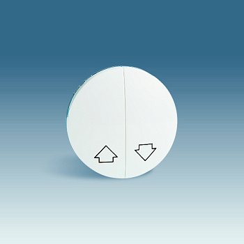 Simon 88 Белая Клавиша жалюзийная 2-ая 88028-30