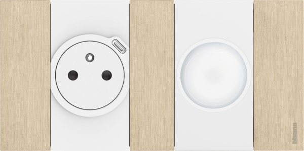 Купить BT Living now Золото Рамка немецкий стандарт 2 поста (2+2 мод) KA4802M2ZW