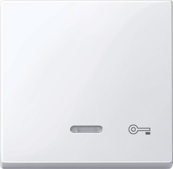 Купить SE Merten SM Клавиша со световой индикацией, «дверь» (MTN435325)