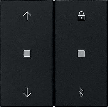 Gira Накладка управления жалюзи  с BT System 3000 5367005