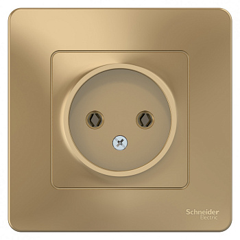 Systeme Electric Blanca внутр Титан Розетка б/з без шторок 16А, 250В