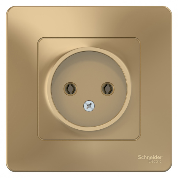 Systeme Electric Blanca внутр Титан Розетка б/з без шторок 16А, 250В