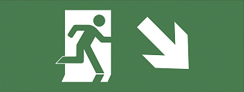 ЭРА INFO-DBA-006 Самоклеящаяся этикетка 200х60мм "Фигура/стрелка вниз вправо" DPA/DBA