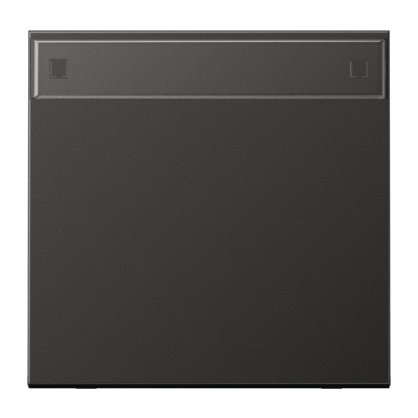 JUNG LS 990 Антрацит Клавиша 1-ая с полем для надписи AL2990NAAN