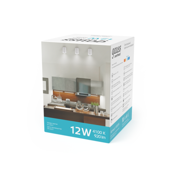 Купить Gauss Светильник Overhead накл цил 12W 920lm 4100K 170-240V IP20 79*100мм белый LED HD011