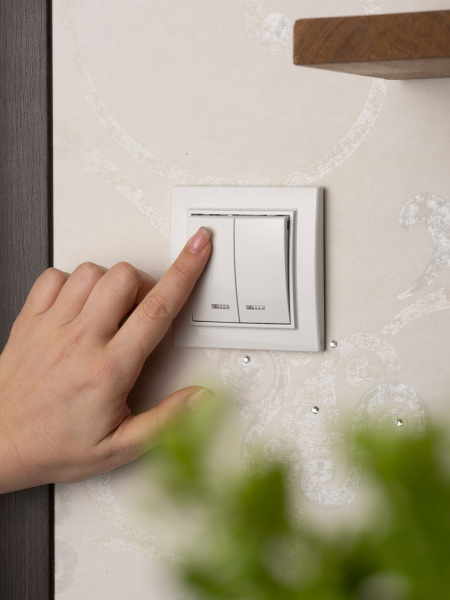 Купить EKF Basic Минск Белый Выключатель 2-кл с индикатором, 10А, СП