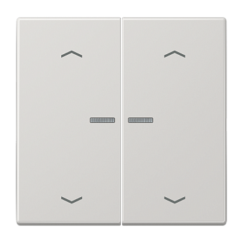 JUNG Клавиши для сдвоенной кнопки BCU светло-серые LS995KO5MPLG