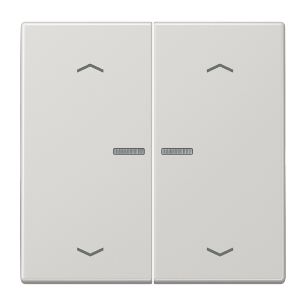 JUNG Клавиши для сдвоенной кнопки BCU светло-серые LS995KO5MPLG