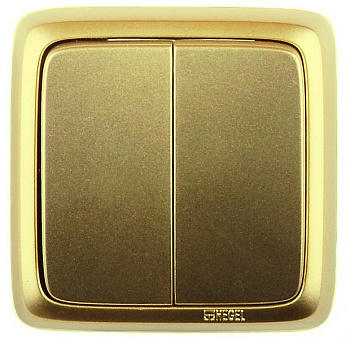 Hegel Альфа наруж Золото ВА16-153-07 Выключатель 2-клавишный с изол. пластиной