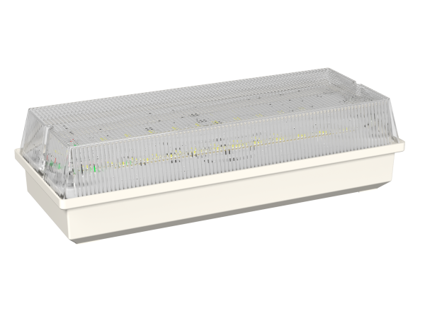 Белый свет Аварийный светильник BS-UNIVERSAL-51-R1-STABILAR2 a15641 Купить Белый свет Аварийный светильник BS-UNIVERSAL-51-R1-STABILAR2 a15641