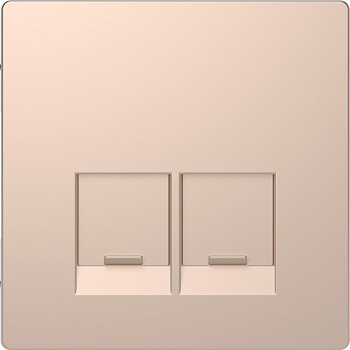 SE Merten D-Life Шампань Накладка центральная для 2-х модульных разъемов, пол. д/надписи MTN4572-6051