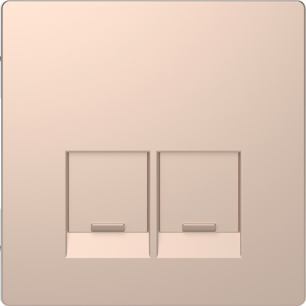 SE Merten D-Life Шампань Накладка центральная для 2-х модульных разъемов, пол. д/надписи MTN4572-6051