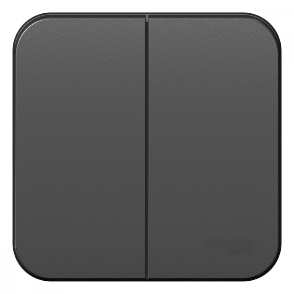 Systeme Electric Blanca наруж Антрацит Выключатель 2-клавишный, 10А, 250B