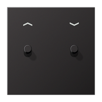 JUNG LS1912 Dark Центральная плата, 1 пост, 2 тумблера,цилиндр; метал. исполнение AL12-5PDR01