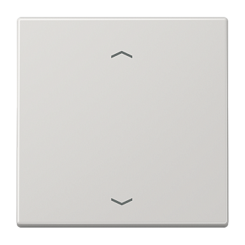 JUNG Клавиша для кнопки BCU, светло-серый LS990PLG