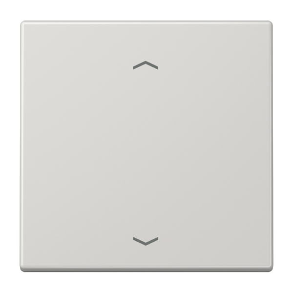 JUNG Клавиша для кнопки BCU, светло-серый LS990PLG