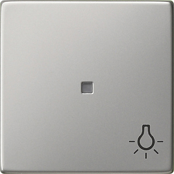 Gira Клавиша с пиктограммой "свет" 0285600