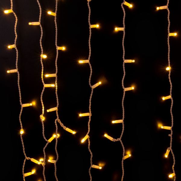 Купить Eurosvet Гирлянда Занавес 200-101 теплый белый 2*3м IP65 a056077