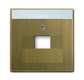 ABB BJE Династия Античная латунь Накладка 1-й комм. розетки 0213, 0216, с полем надписи 2CKA001710A4082