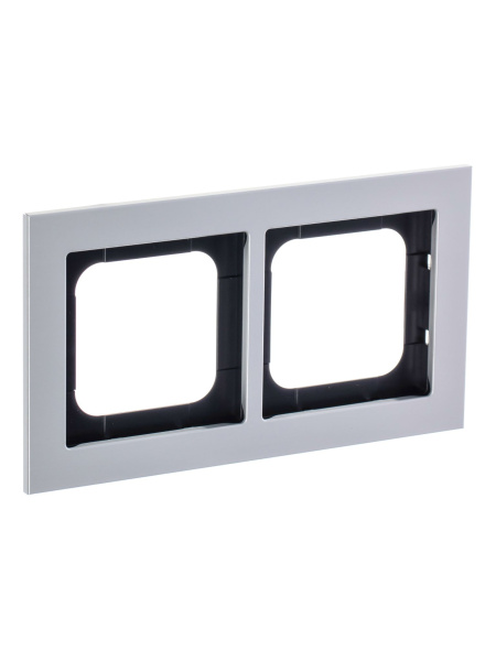 Купить ABB Axcent металл/титан Рамка 2-постовая 2CKA001754A4699