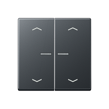 JUNG Клавиша для выключателя с подсветкой, антрацитовый матовый A595BFKO5MPANM