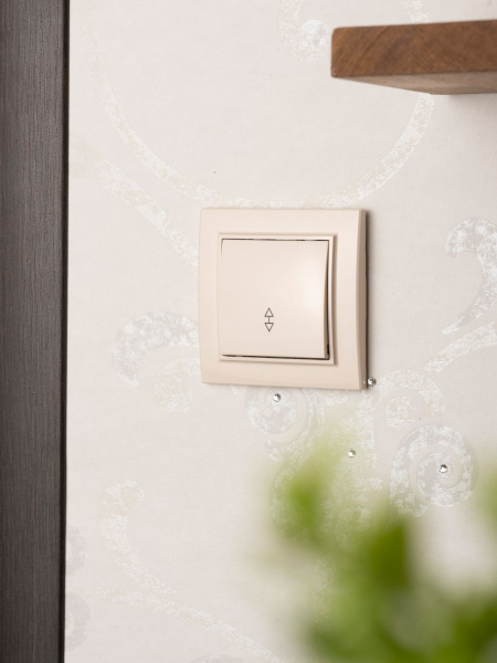 Купить EKF Basic Минск Бежевый Выключатель проходной 1-кл, 10А, СП