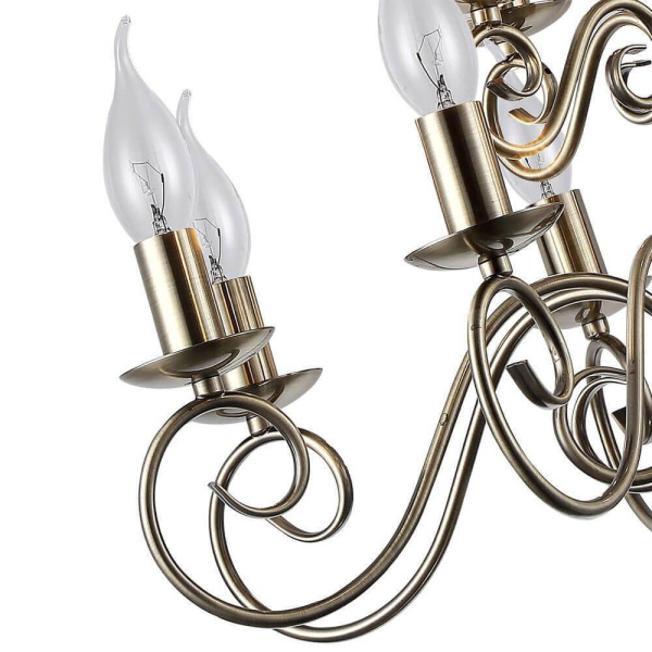 Купить Arte Lamp ISABEL Люстры A1129LM-12AB