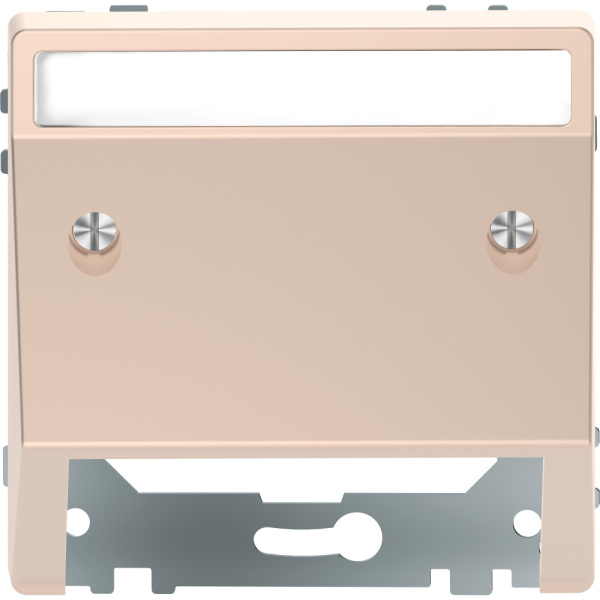 SE Merten D-Life Шампань Накладка центральная наклонная MTN4540-6051