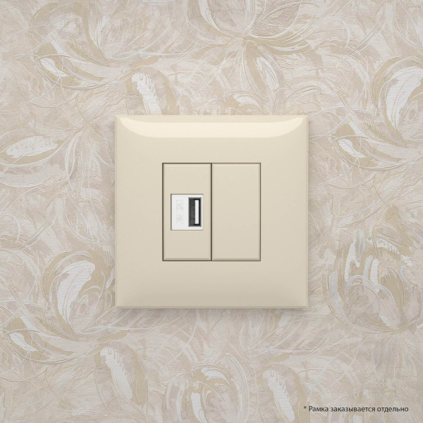 Купить DKC USB зарядное устройство в стену, "Avanti", "Ванильная дымка"